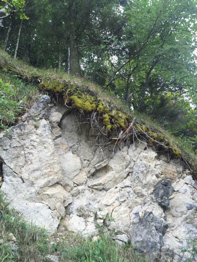 Das Landhaus Puchenstuben Exterior foto